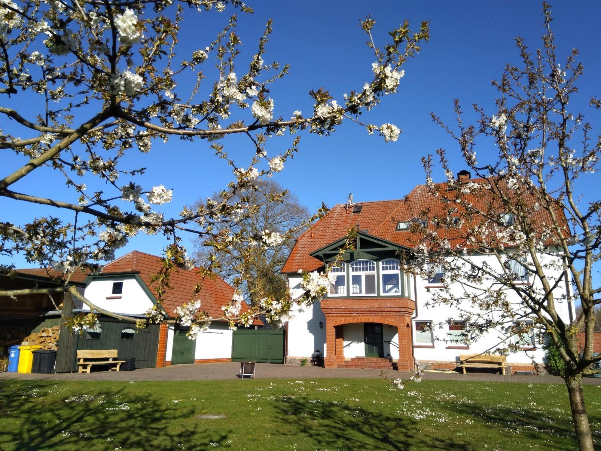Landtraum Im Traumland Mecklenburg Daire Warin Dış mekan fotoğraf